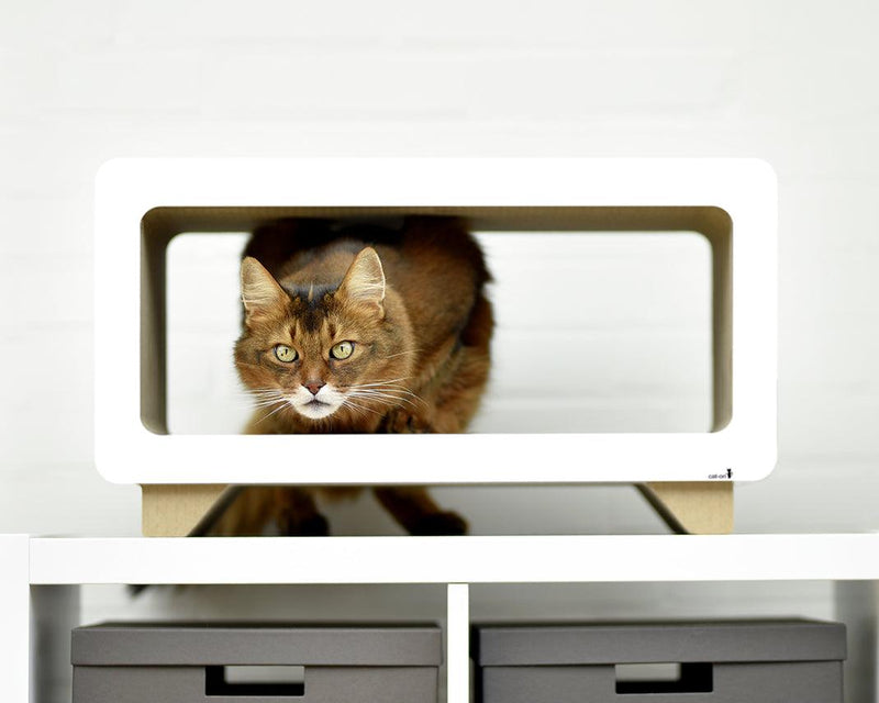 Griffoir écologique pour chat en carton La Télé blanc - kasibe