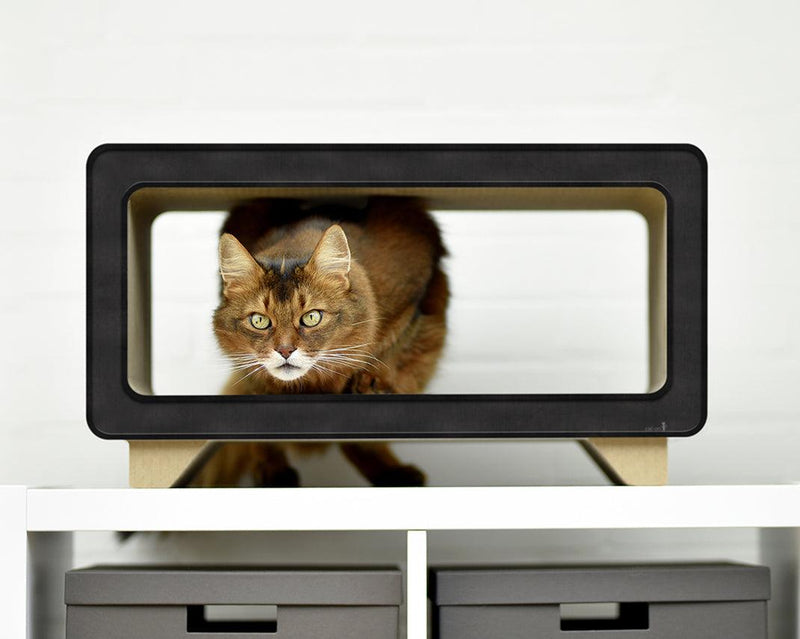 Griffoir écologique pour chat en carton La Télé noir - kasibe