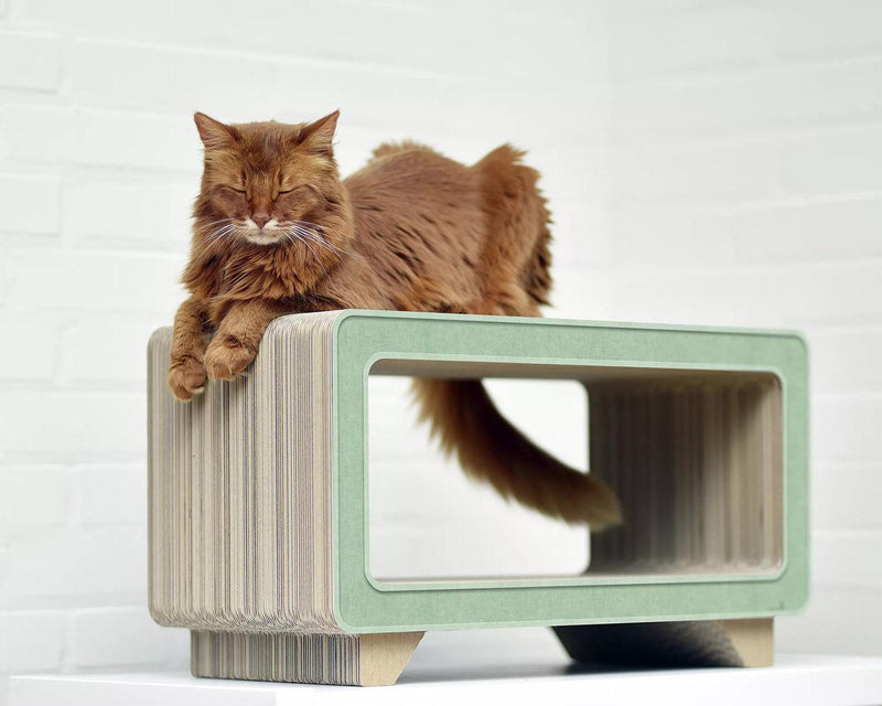 Griffoir écologique pour chat en carton La Télé vert - kasibe