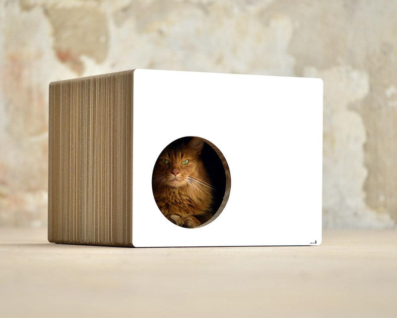 Cabane griffoir pour chat : l'élégance de Phrédia Eckhaus blanc - kasibe