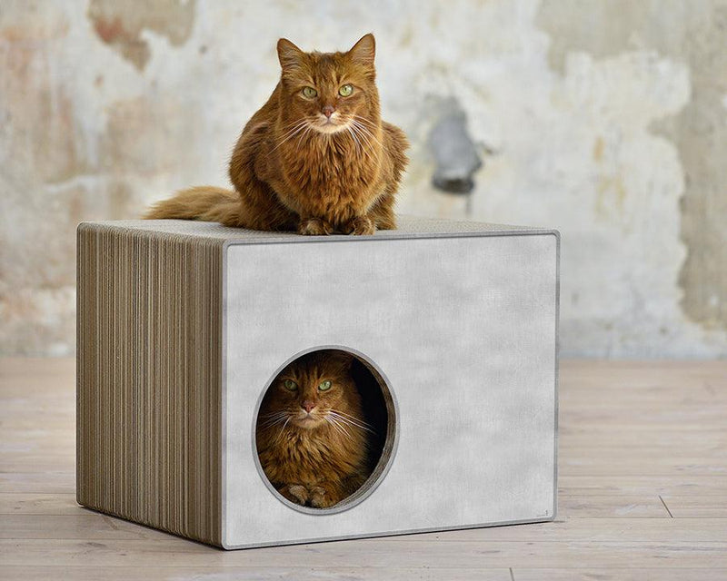 Cabane griffoir pour chat : l'élégance de Phrédia Eckhaus gris - kasibe