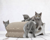 griffoir pour chat en carton à la forme sympathique et originale gris - kasibe
