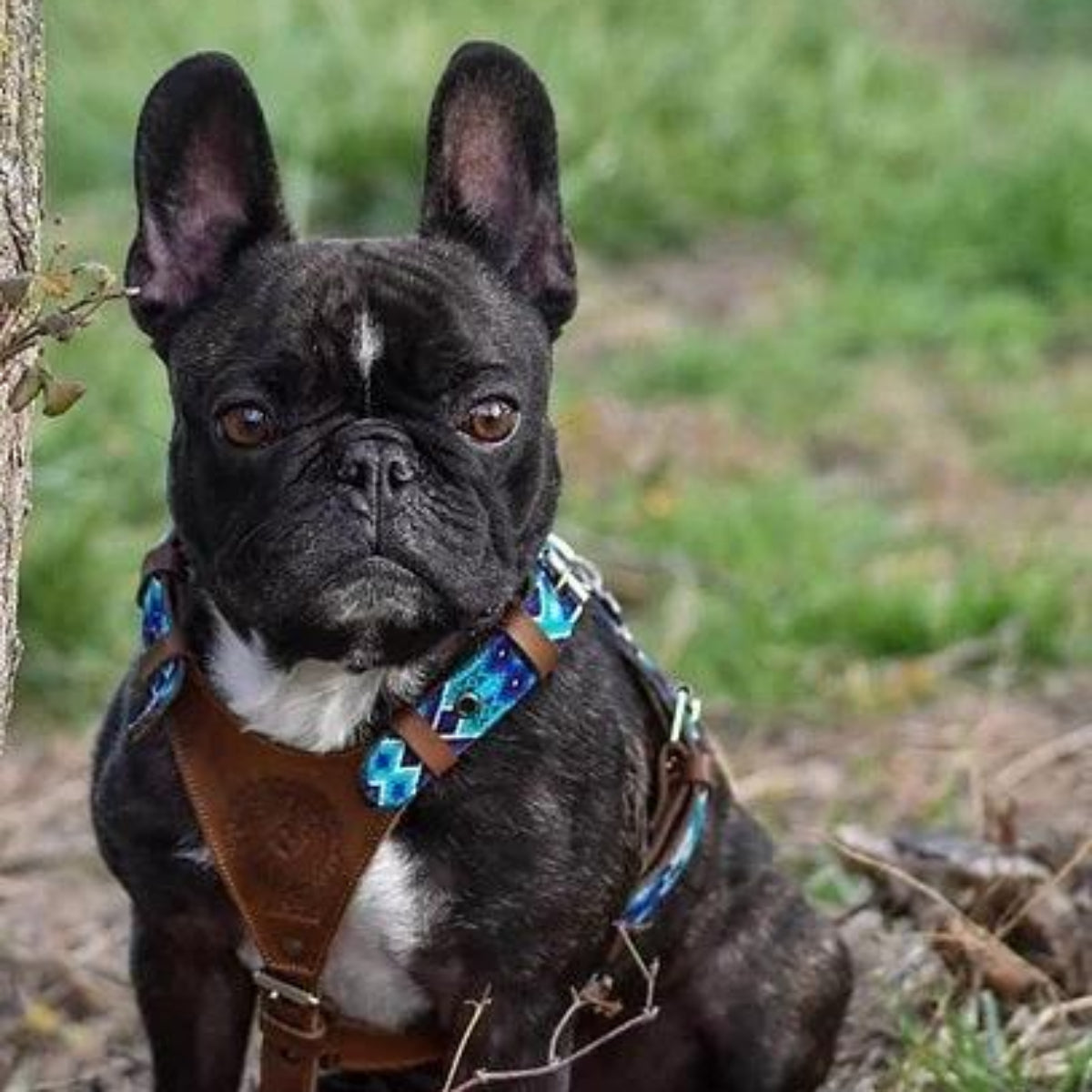 Harnais en Y pour chien mexicain brodé à la main - Kasibe