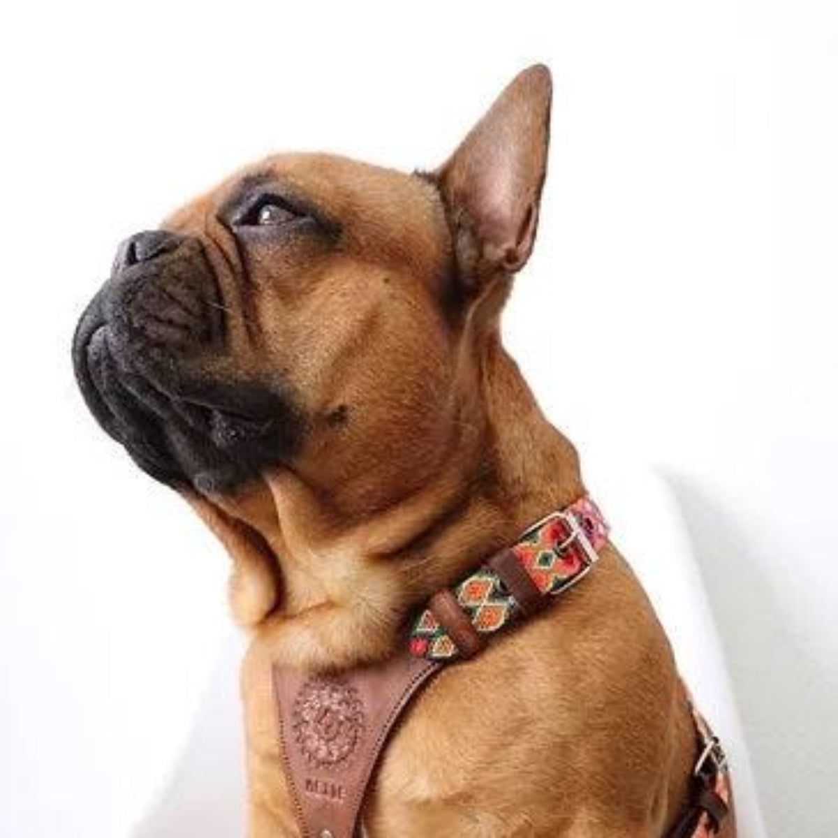 Harnais en Y pour chien mexicain brodé à la main - Kasibe