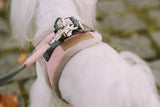 Harnais confort pour chien doublé en fourrure Yeti  - kasibe
