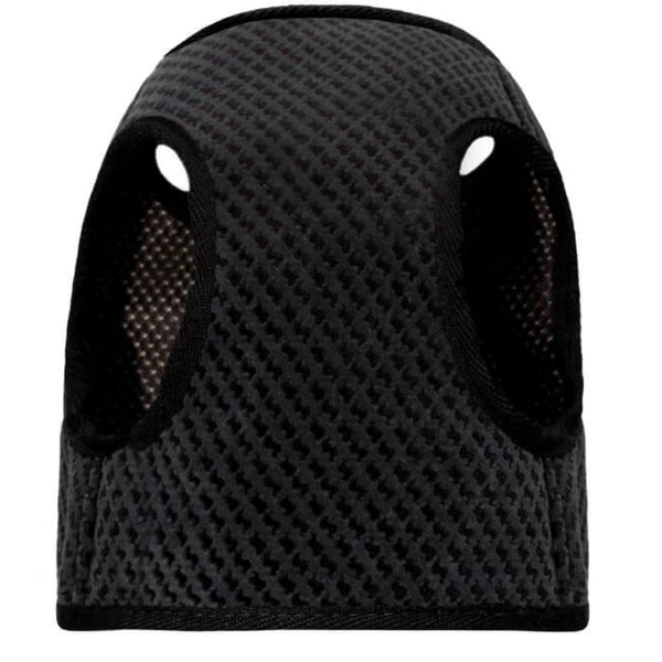 Harnais pour chien : petits et grands trouveront leur taille avec Soho kasibe bowlandbone graphite dessous