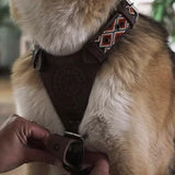 Harnais en Y pour chien mexicain brodé à la main - kasibe