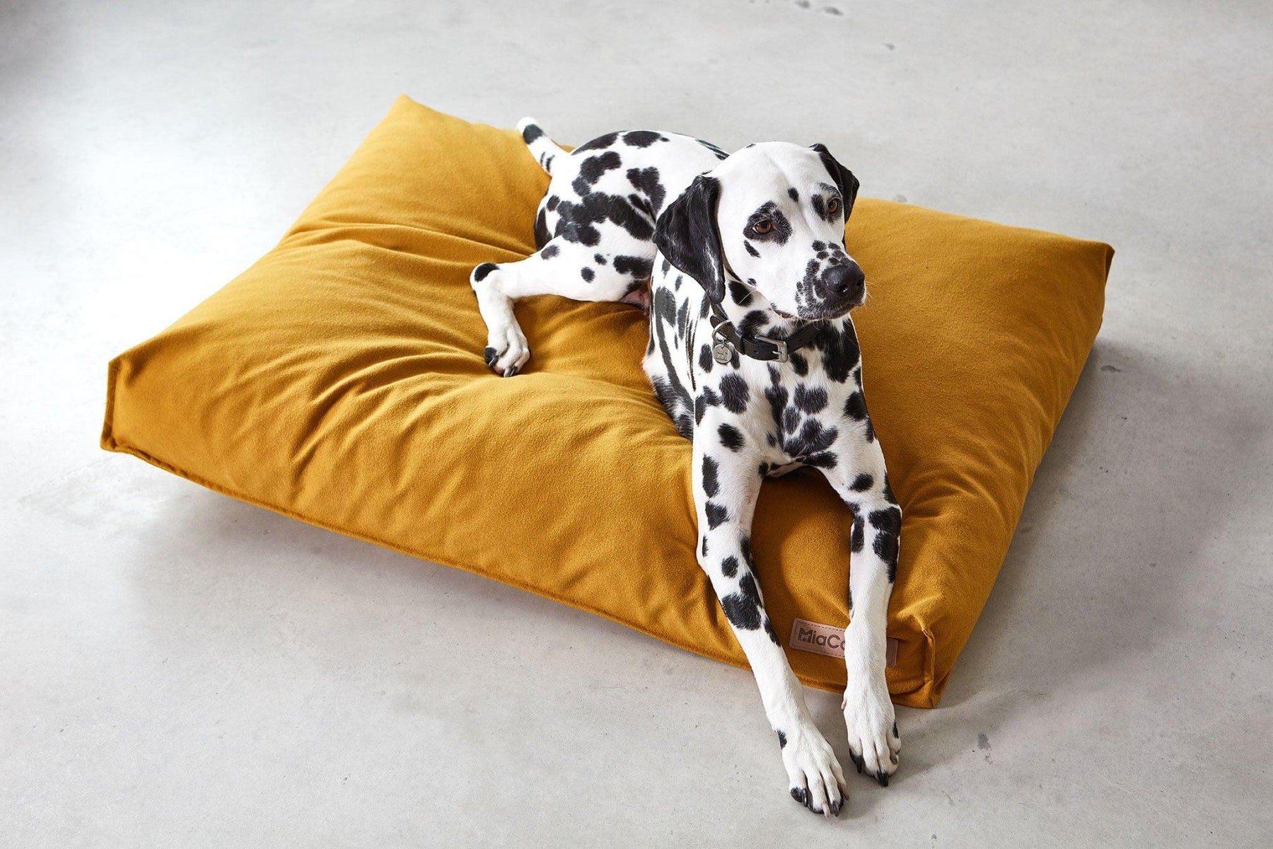 Housse coussin pour chien lessivable - STELLA - Kasibe