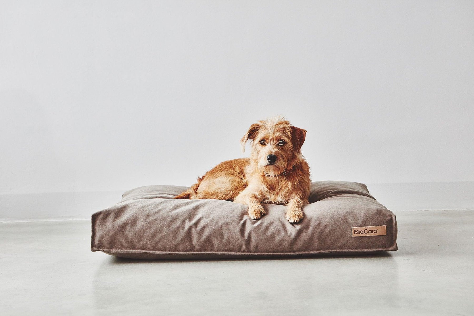 Housse coussin pour chien lessivable - STELLA - Kasibe