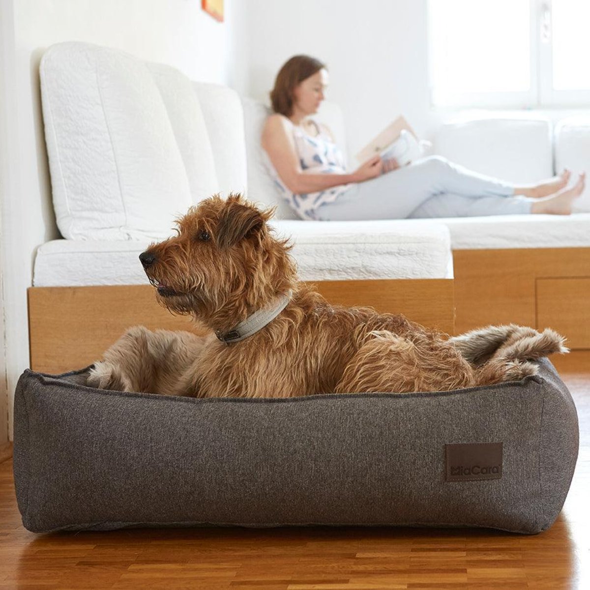 Housse de panier pour chien classique - NUBE - Kasibe