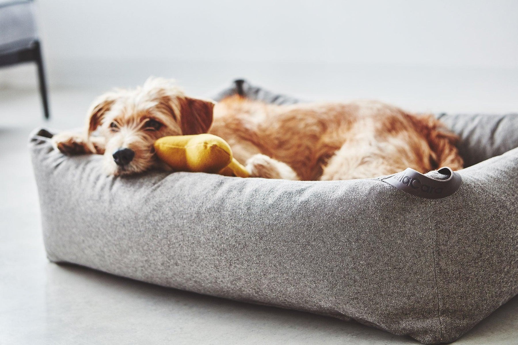 Housse de panier pour chien en tissu - STELLA - Kasibe