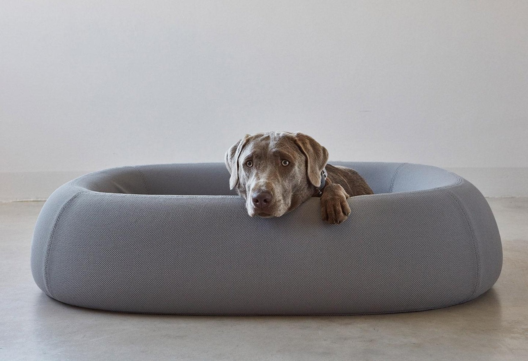 Housse de panier pour chien innovant - BARCA - Kasibe
