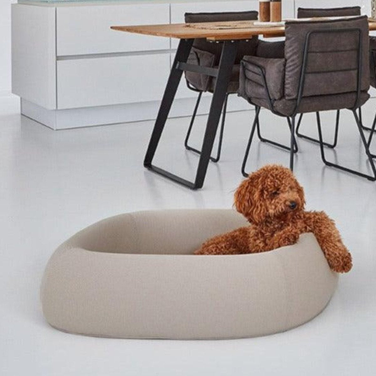 Housse de panier pour chien innovant - BARCA - Kasibe