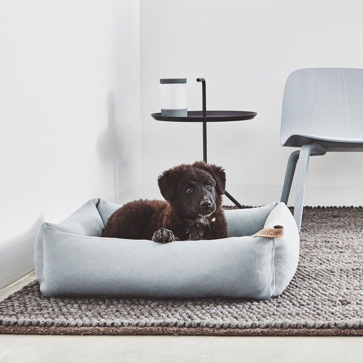 Housse de panier pour chien lavable - SONNO - Kasibe