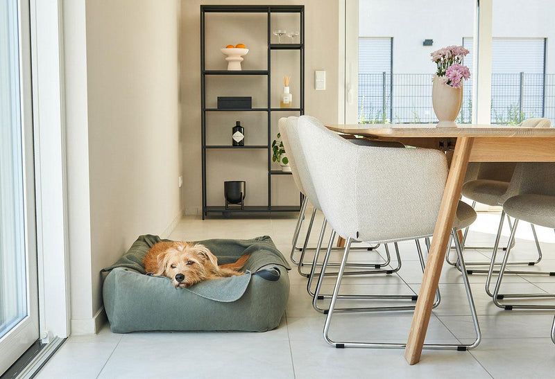 Housse de lit pour chien élégant Velluto kasibe miacara