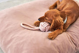Jouet pour chien en corde de coton tressée kasibe miacara