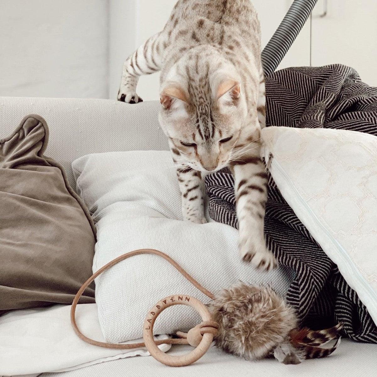 Jouet élégant pour chat (lot de 2) - MUSSE - Kasibe