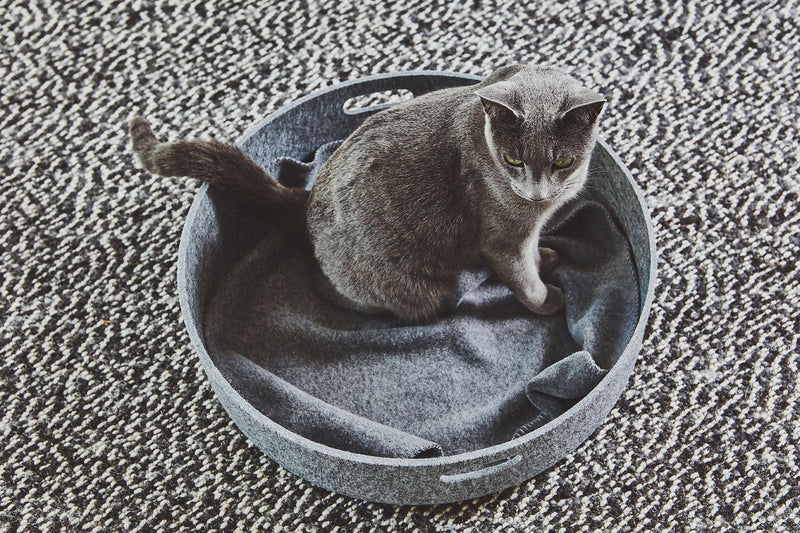 Unica : couverture chaude pour chat en polaire kasibe miacara grege