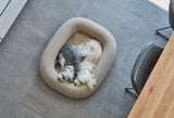 kasibe panier lit à la forme innovante courbe pour chien Barca taupe miacara