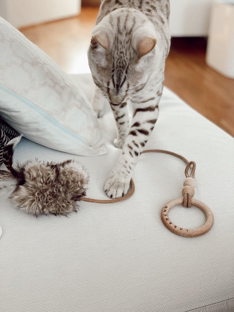 kasibe  chat joue avec jouet en fausse fourrure et plume marron musse labbvenn