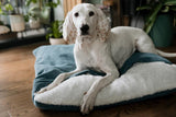 kasibe chien allongé sur couverture moelleuse bliss bowlandbone