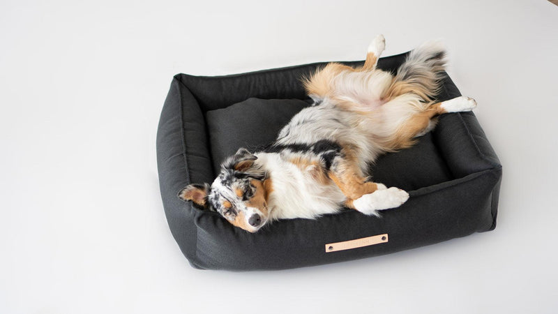 kasibe chien allongé dans grand panier en tissu tove anthracite labbvenn