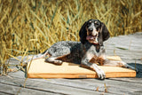 kasibe chien allongé sur coussin epais pour chien chill orange bowl and bone