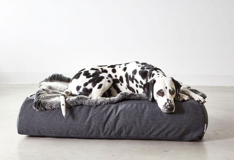kasibe coussin Lounge très épais pour chien Stella - Confort Extrême gris Miacara