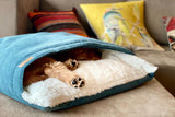kasibe chien allongé sur couverture moelleuse bliss bowlandbone