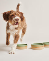 Gamelle pour chien en céramique, création artisanale - Kasibe