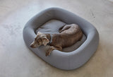 Un lit pour chien moderne, Barca et sa forme innovante - kasibe