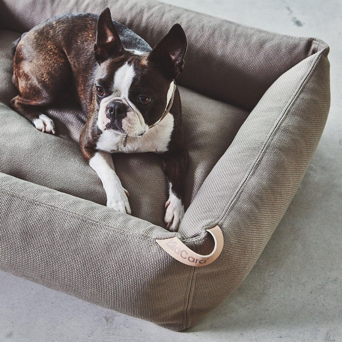 kasibe chien allongé dans panier panier  en tissu Sonno lavable en machine taupe miacara