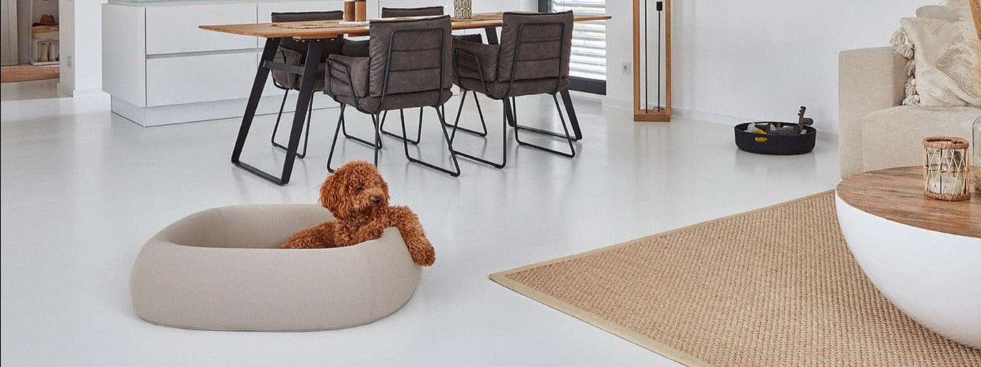 Housse de panier pour chien innovant - BARCA - kasibe