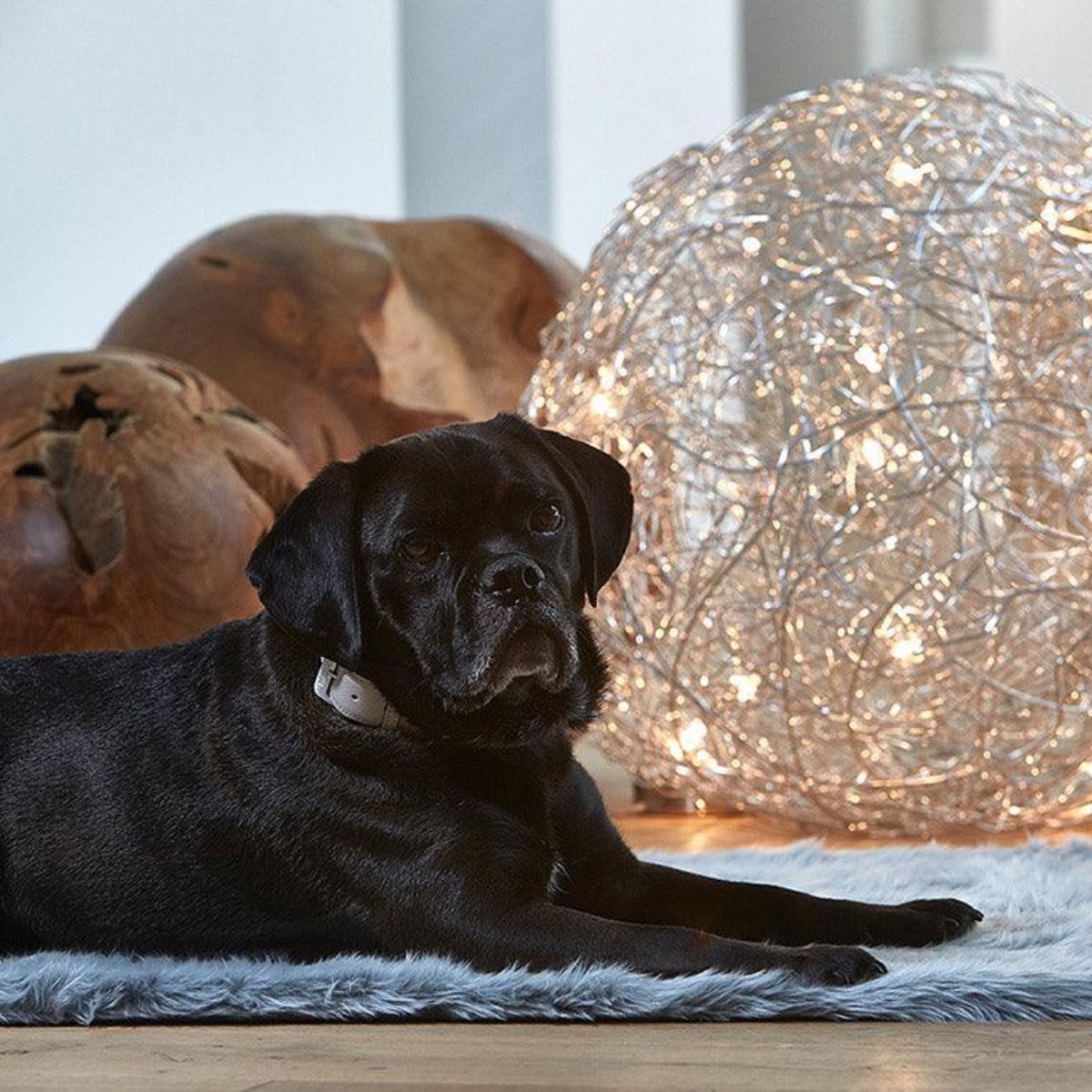 Une touche déco avec ce plaid en fourrure pour chien Lana - kasibe
