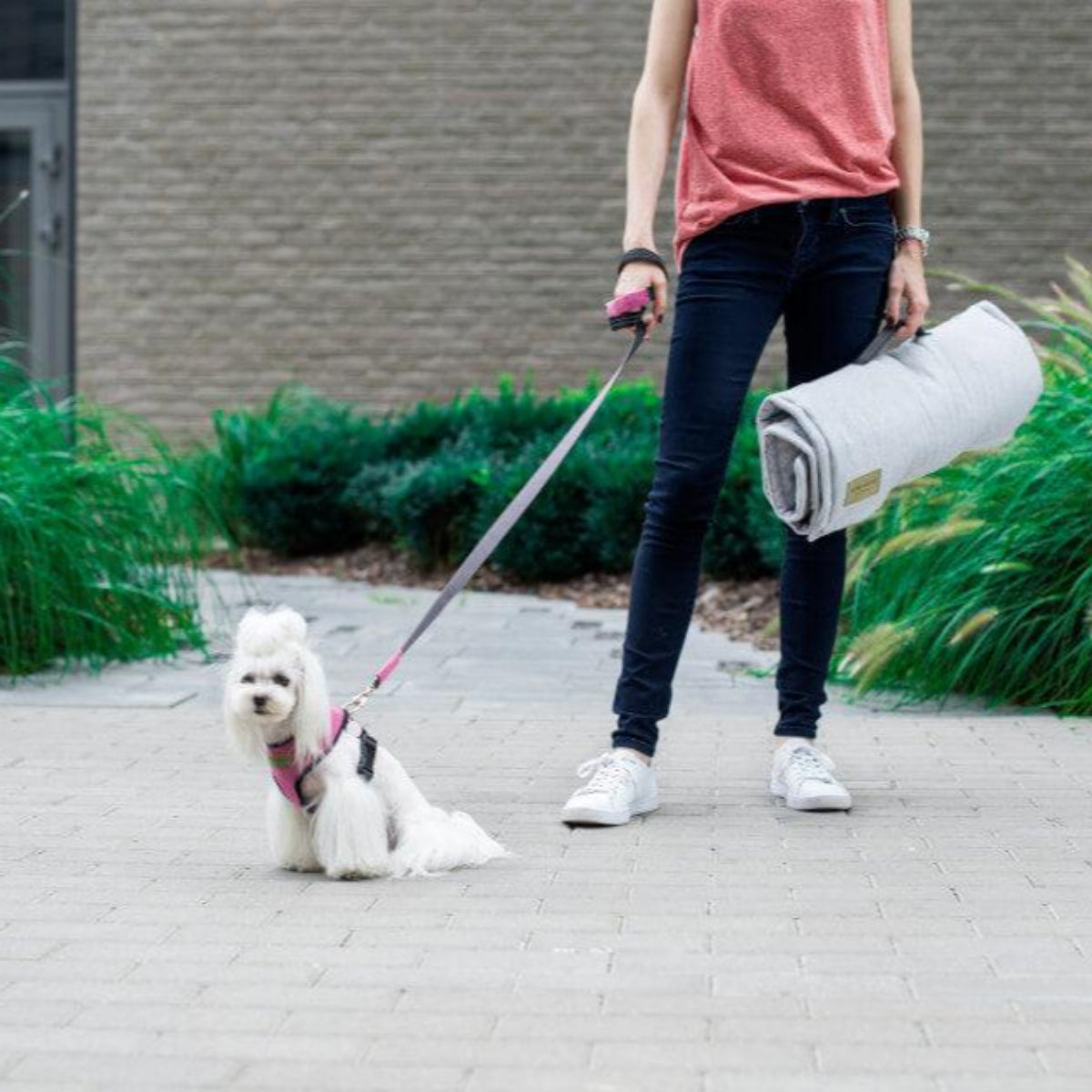 kasibe petit chien porte harnais et laisse coordonnée en tissu bowlandbone rose