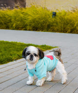 kasibe chien porte sweat à capuche au look sportif cloud bowlandbone azur