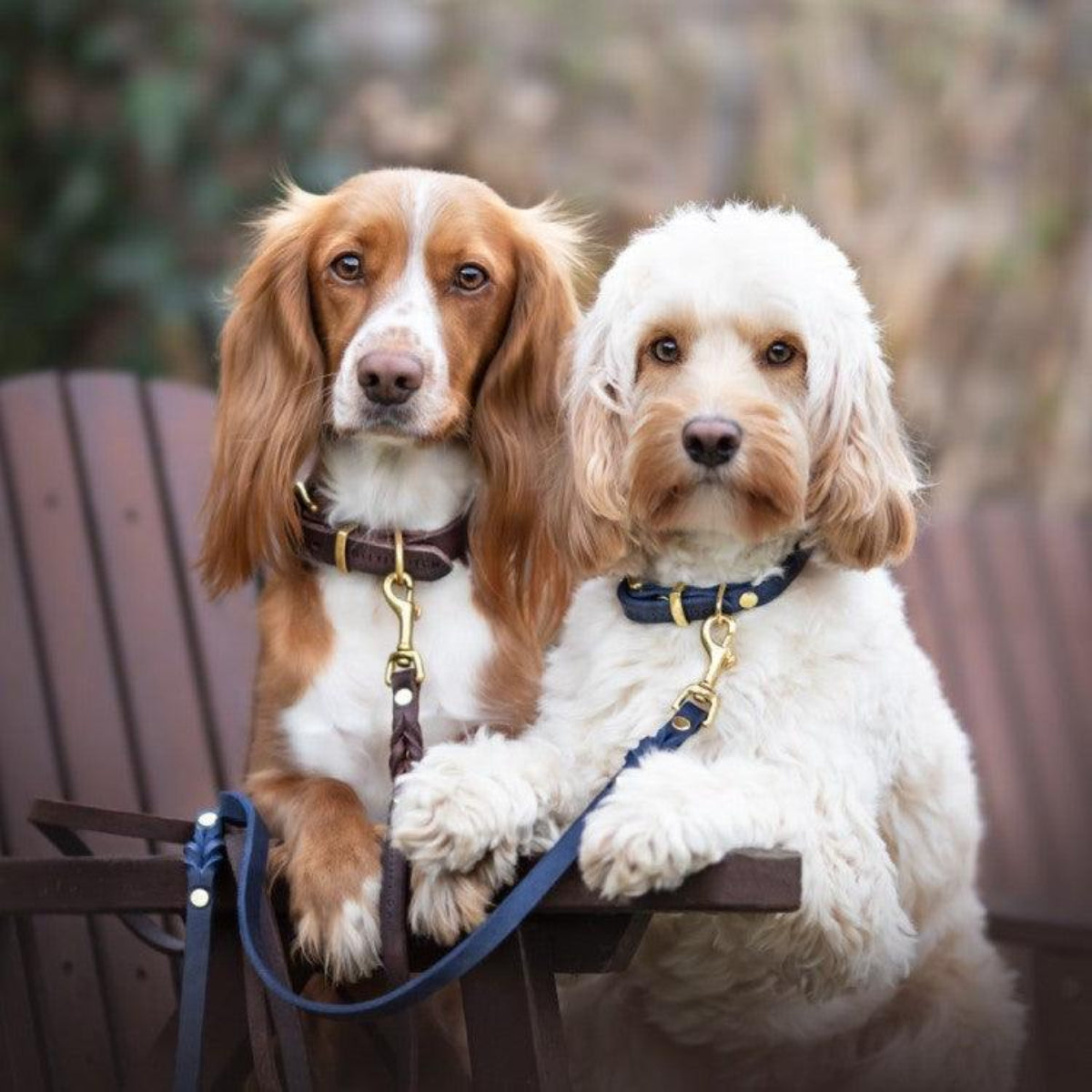 Cuir souple tanné et coloré pour le collier pour chien Butter - Kasibe