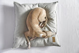 Coussin très confort pour chien, design moderne et contemporain pour Urban - kasibe