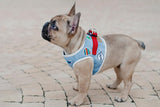 kasibe harnais pour chien denim et sa laisse coordonnées rouge pour promener son chien en toute sécurité bowl and bone