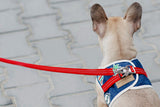 kasibe chien avec laisse rouge coordonnée au harnais denim bowlandbone
