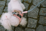 kasibe chien avec laisse rose coordonnée au harnais doublé en fourrure yeti bowl and bone 