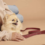 kasibe Small City daim : une petite laisse pour les petits chiens bordeau william walker