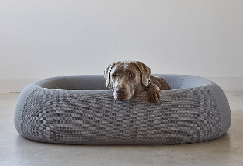 kasibe panier lit à la forme innovante courbe pour chien Barca ardoise miacara