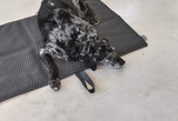 kasibe chien allongé sur Plaid de voyage imperméable et matelassé : nouveau Cosmo graphite miacara