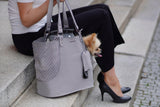 kasibe sac porte chien couleur gris labbvenn