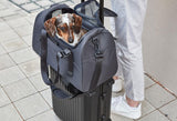 Sac de voyage Volata pour chien ou chat, idéal pour la sécurité de votre compagnon - Kasibe