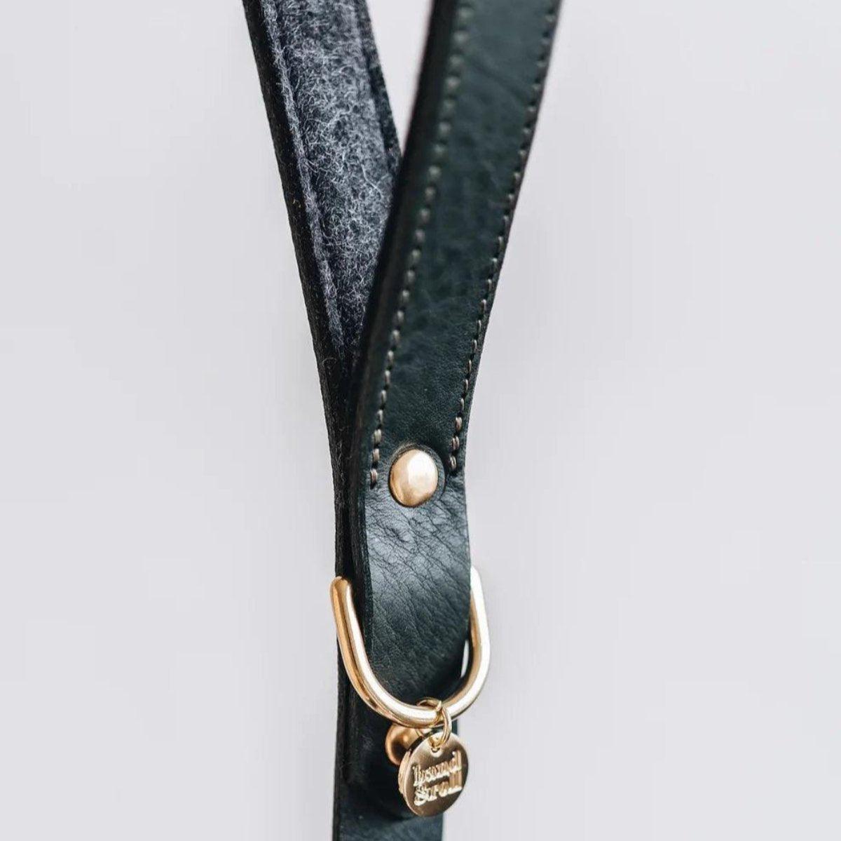Laisse courte pour chien en cuir - HITCH - Kasibe