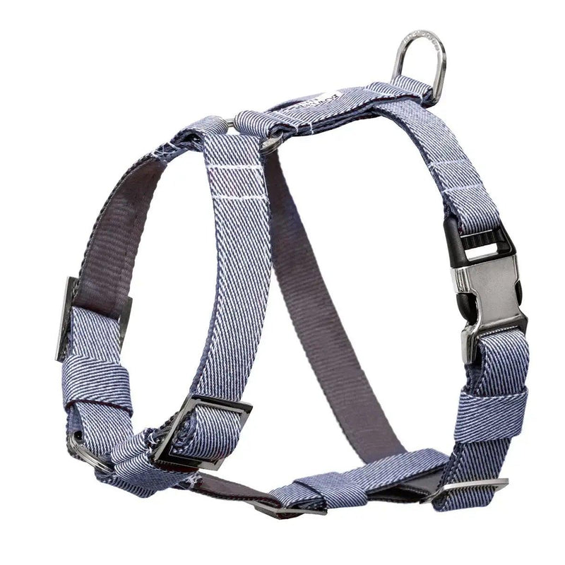 Ensemble de promenade pour chien Breeze bleu - kasibe