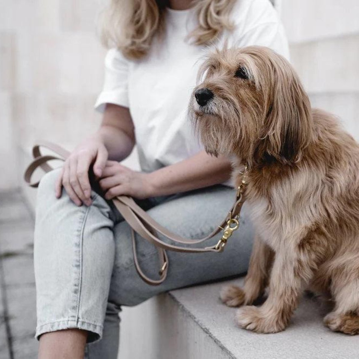 Laisse longue pour chien - LASSO - Kasibe