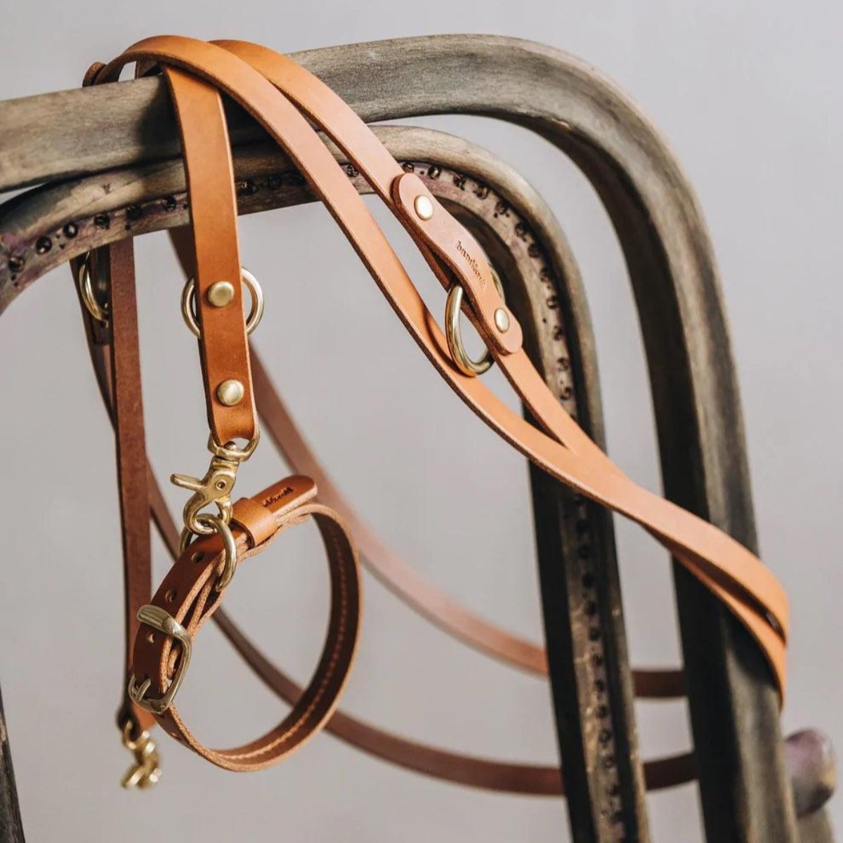 Laisse longue pour chien - LASSO - Kasibe